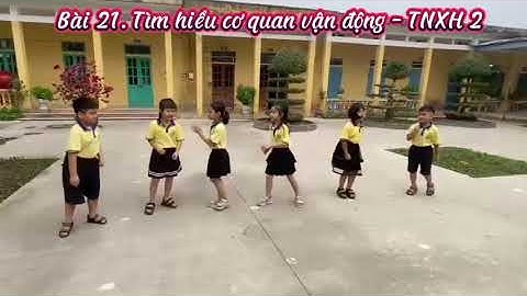 Bài 21. Tìm hiểu cơ quan vận động - TNXH 2
