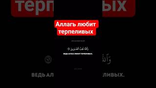 не отчаивайся в милости Аллаха. Аллах любит терпеливых. #сабр#терпение#любовь#беда#несчастье