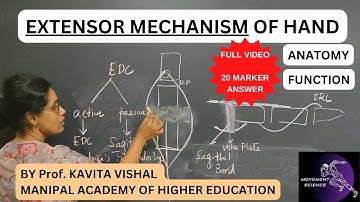 EXTENSOR MECHANISM OF HAND  ( HAND  COMPLEX BIOMECHANICS)Physiotherapy by  Mrs.KAVITA VISHAL