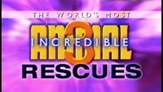 The Worlds Most Incredible Animal Rescues - 3 by Classic TV & More 4,588 views 3 years ago 45 minutes