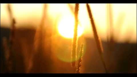 The Basics of Natural Farming (part 1 of 2)