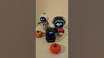 Having fun with my Robot