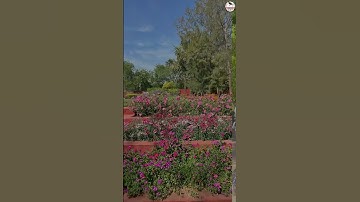 Beauty of Lady Shri Ram College #lsr #cuet2025 #collegevlog #shorts