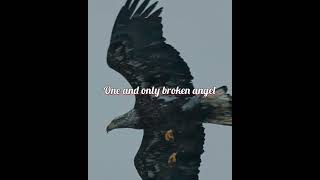 i am so lonely lyrical vedio status for singles or