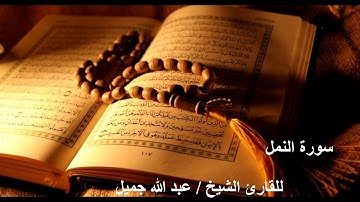 تلاوة زكية بنبرة هادئة تريح الأعصاب للقارئ عبد الله جميل / سورة النمل
