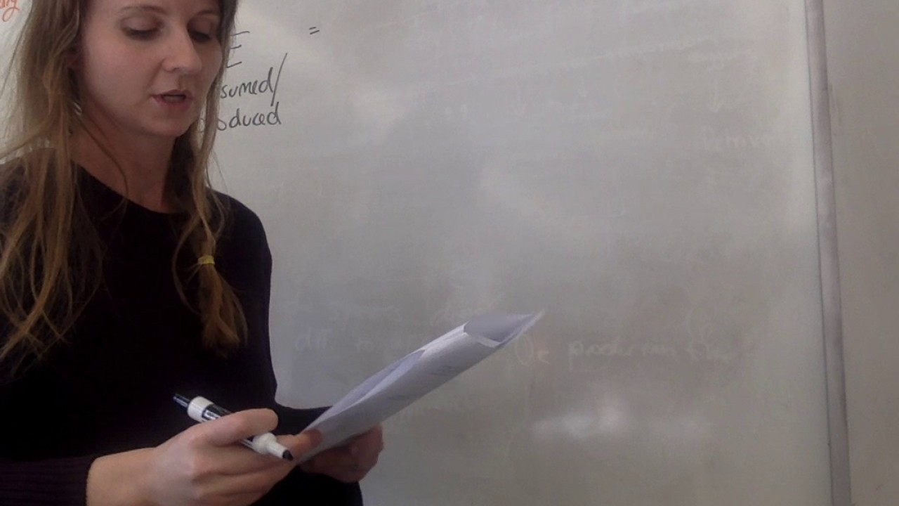 Energy Flow Formula High School Biology LS2.4 YouTube