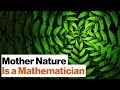 Universal Mathematics: All Life on Earth Is Bound by One Spooky Algorithm | Geoffrey West