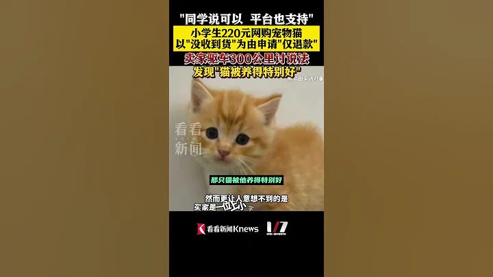 「同學說可以，平台也支持」 #小學生220元網購寵物貓以「沒收到貨」為由成功申請「僅退款」 賣家驅車300公里討說法，發現「貓被養得特別好」 #僅退款 #shorts - 天天要聞