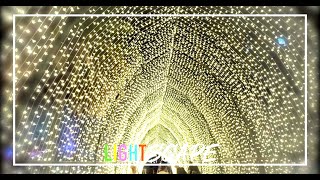 Brisbane Lightscape | Winter Cathedral [2024]