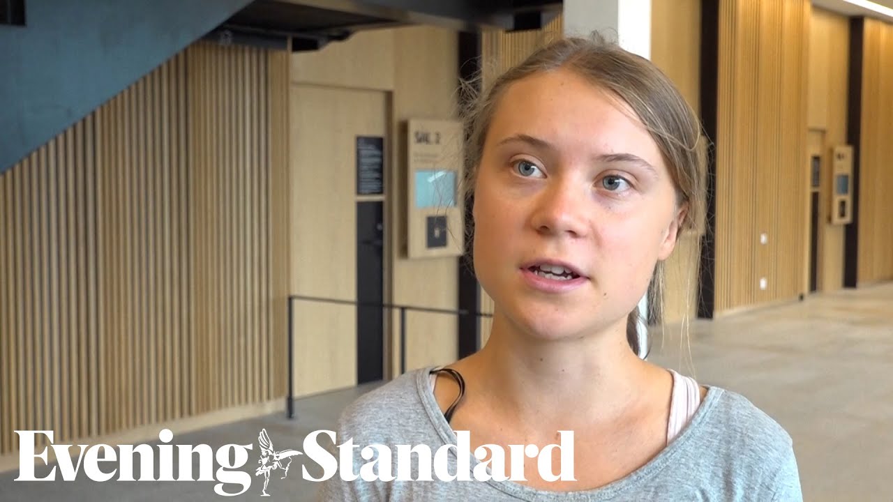 Greta Thunberg fined by Swedish court for disobeying police order