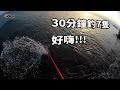 30分鐘拉7隻,好嗨!!!!( 澎湖釣魚 Eging 花枝 軟絲 餌木 夜釣小管  釣魚 Taiwan 弓角 水球 路亞 Lure 敲底 )