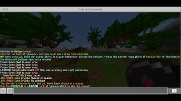 How to skip NetherGames SkyBlock queue! (NOW PATCHED)
