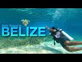 Crazy Solo Trip to Belize | Scuba Diving, Sharks, Secret Beach