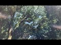 naru『君は知らない』