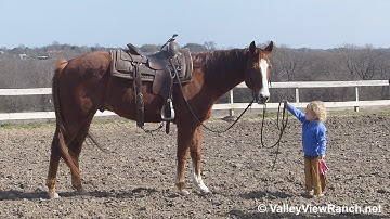 Smooth Resource***For info, price, etc., go to our website*** ValleyViewRanch.net