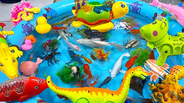 Động Vật Dễ Thương,Cá Mập,Cá Heo,Cá Chép,Cá Koi,Cá Đuối,Cua,Tôm,Ghẹ,Chim,Bọ Ngựa,Chuồn Chuồn,Animas