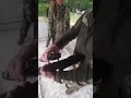 Ukraine HTTI
