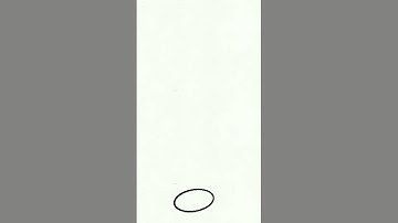 the perfect loop doesn