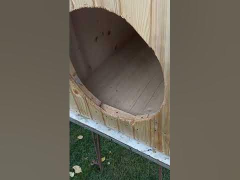 Собача буда - YouTube
