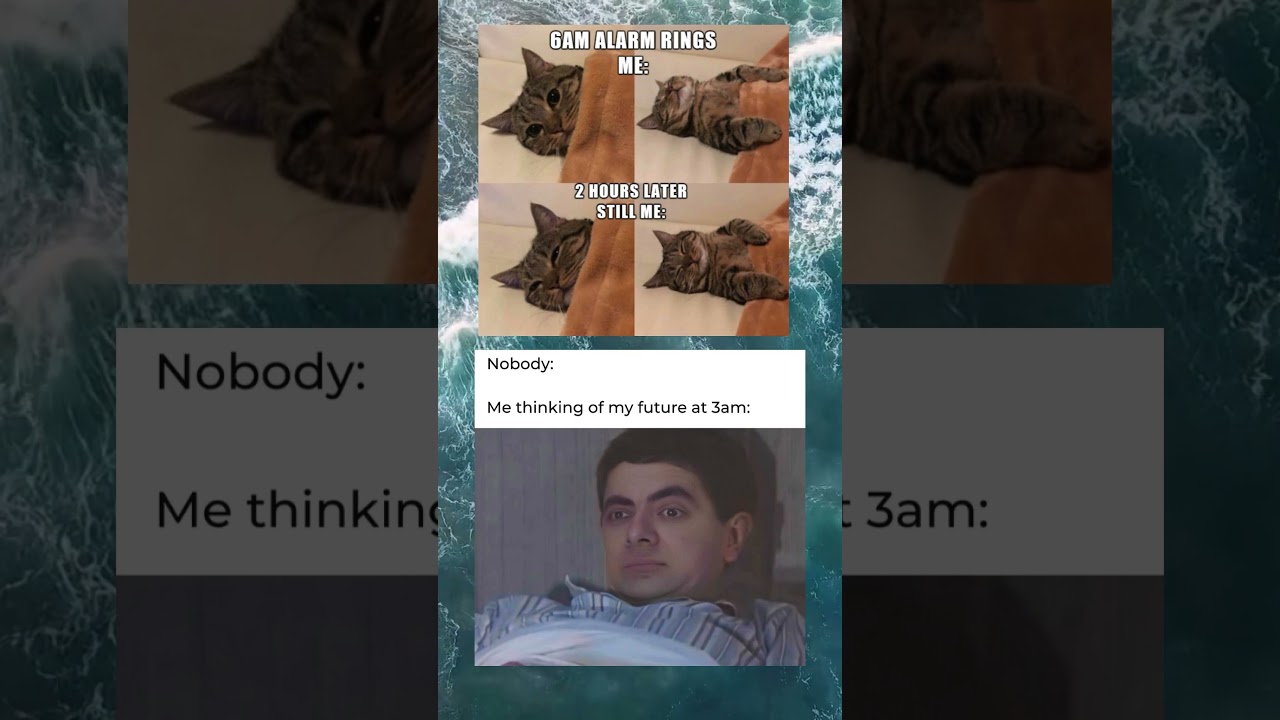 Internet shows MEMES | PART 5