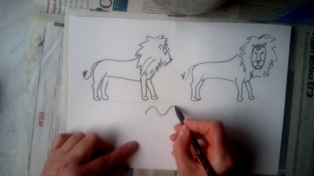 как нарисовать  верблюда и льва