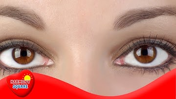 Seeing Motion - More Grades 9-12 Science on the Learning Videos Channel