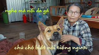 Chú chó biết NÓI TIẾNG NGƯỜI  nghe mà nổi cả da gà