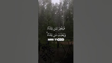 ماهر المعيقلي - سورة البقرة ( برواية حفص عن عاصم ) الأية 284
