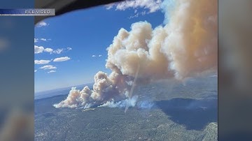 UNM research shows wildfire smoke can impact brain health