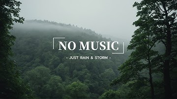 Heavy Rain Sounds for Deep Sleep & Relaxation | Rain on The Roof in the Foggy Forest