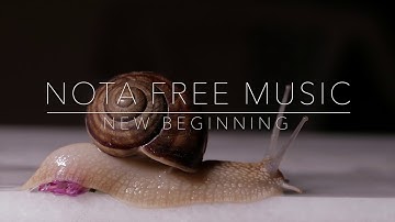 New Beginning - Free Loyalty Music