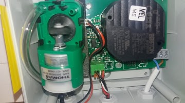 a unique special, barrhead, AS sensorflow solo