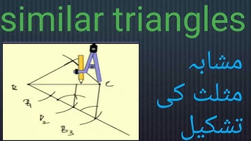 How to draw similar triangles in urdu| maths in Urdu|10 maths in Urdu| jfmam urdu