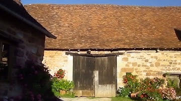 zwaluwen vliegen uit