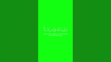 قاتلوهم يعذبهم الله  ماهر المعيقلي كرومات قرآن شاشة خضراء سورة التوبة #كرومات قرآن