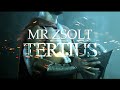 Mr Zsolt - Tertius