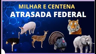 MILHAR E CENTENAS ATRASADAS DA FEDERAL 2023 PALPITE DO JOGO DO BICHO (PROF CARLOS) VALIDO  FEDERAL screenshot 5