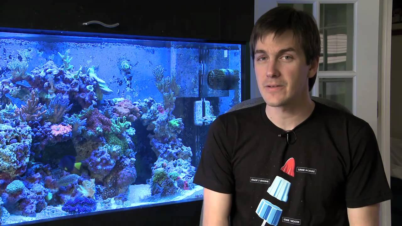 watershed Secret Reefkeeper Training Camp Exposed