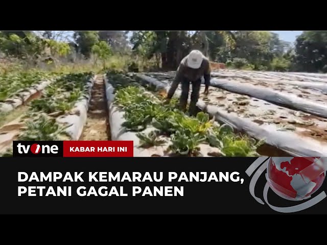 Kepahitan Warga Menghadapi Dampak Kemarau Panjang | Kabar Hari Ini tvOne class=