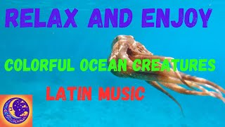 Explore the Ocean Depths: Meet the Crawling Creatures and Cephalopods (with Latin Music)