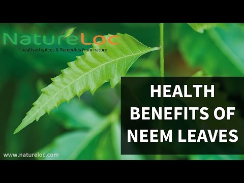 Amazing Benefits And Uses Of Neem For Skin, Hair And Health