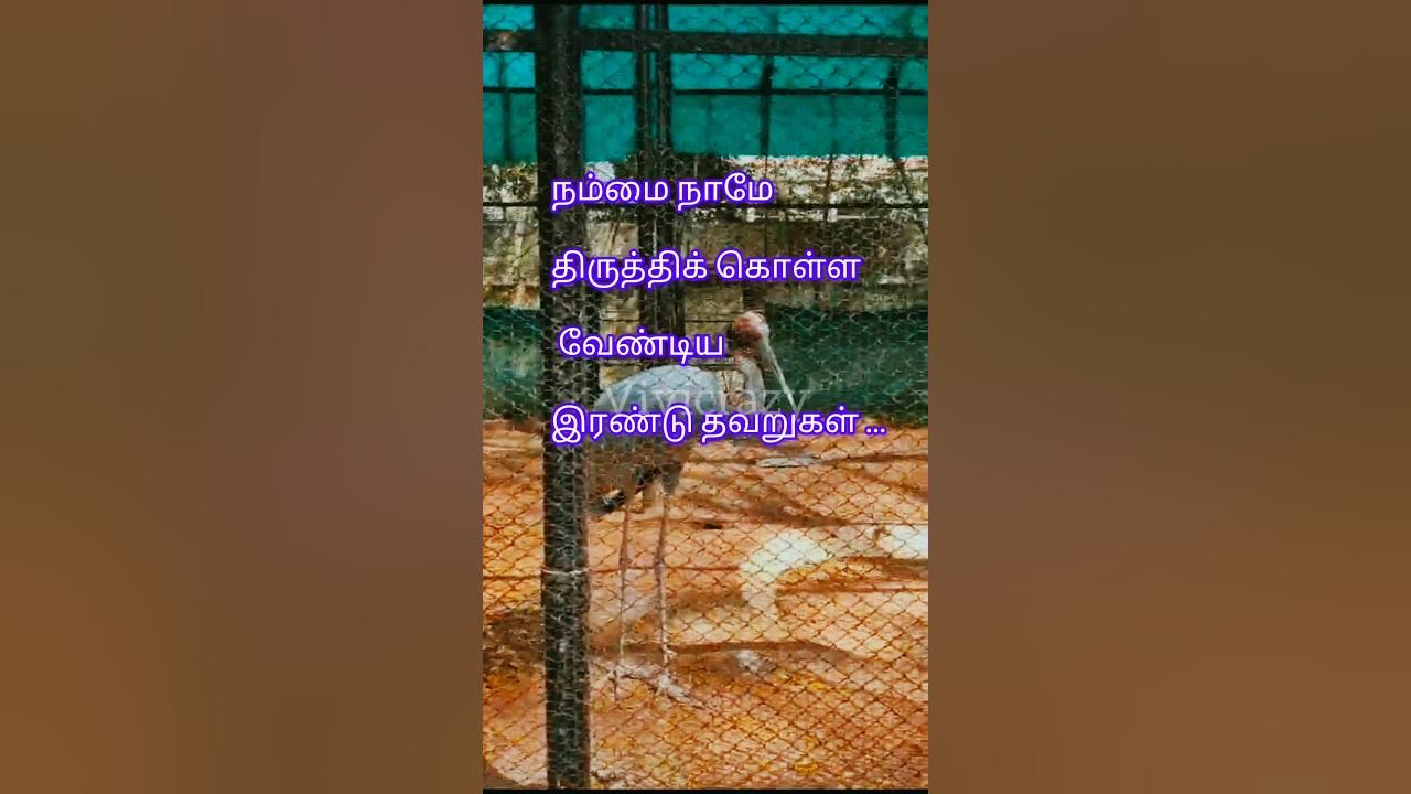 life Motivation life-motivation