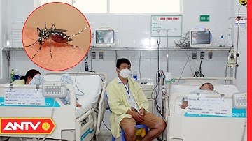 Khẩn Cấp Dập Dịch Sốt Xuất Huyết Ở Phía Nam | Tin Tức 24h | ANTV