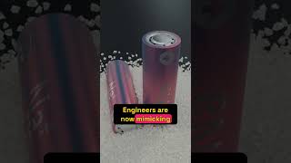 Revolutionary Battery Tech Inspired by Electric Eels