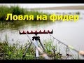 Рыбалка на реке Урал. Ловля на фидер 11.06.17г.