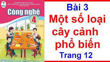 Công Nghệ Lớp 4 Bài 3 | Một Số Loại Cây Cảnh Phổ Biến | Trang 12 - 15 | Cánh Diều