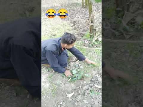 نجيب ابو علي وواد عبرحيم ضحك هيستيري