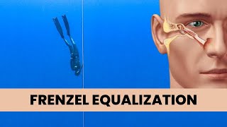 Complete Guide For Frenzel Eq Freediving Equalization For Beginners