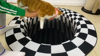 Cats panic when they see the optical illusion 3D mat. _Funny dogs