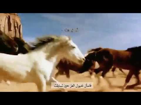 حالات واتس أب أمجادنا تاريخنا وسلامنا